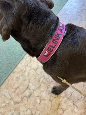 2b436a96-b22e-44f8-b19e-3d0463ef2bce.jfif