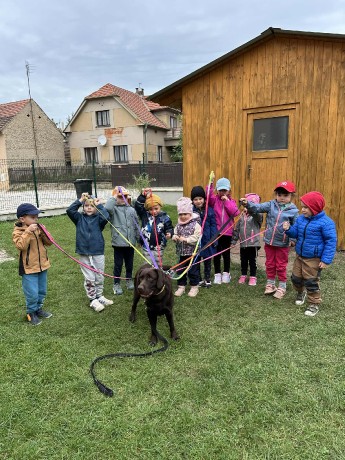 11a48d3b-2ee8-4ee1-9948-0aae5335cf30.jfif