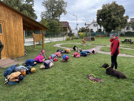 32ecf9e9-0407-4443-9ad4-4dc95fb821f4.jfif