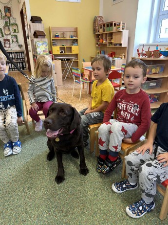 80ff4d65-233c-4efb-ae87-a8aaa0c205d7.jfif