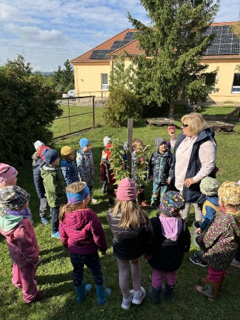 465d5590-ba66-4e45-9fcc-1a9dc9ebcbbc.jfif