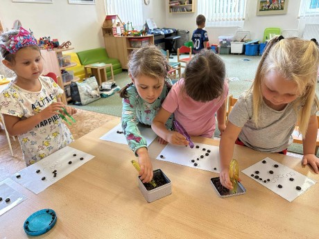 68141659-2584-4b37-b5b8-6cd70d47a1c7.jfif