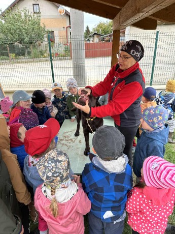 a2412f48-98b6-4467-b4ca-c33d9e510423.jfif