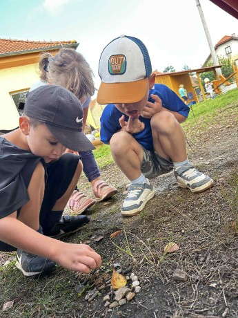 dc68f906-c64b-4330-9030-914b5d2a8f47.jfif