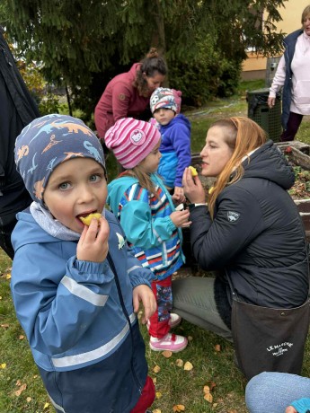 96d65e5c-f7ff-4fc7-bdc7-6e2760a634ed