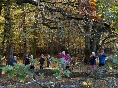 a734c7a1-57ca-4e21-a6cb-3674bfb87344