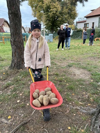 df266570-6303-4c9e-8903-93e6ecf34972