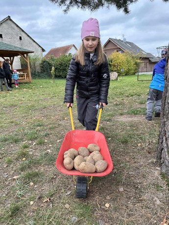 e6cd53a2-7977-4d1c-90b9-3487af2abfe5