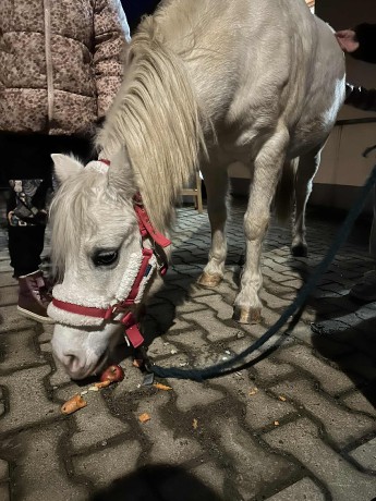 19f90eae-4daf-4451-b476-b1f0c0778eb0