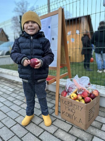 20607161-bd14-447f-a470-947ddb730068