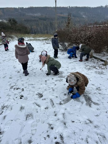 2ece63e6-e4e4-4ff0-98ac-9b972b04ba83