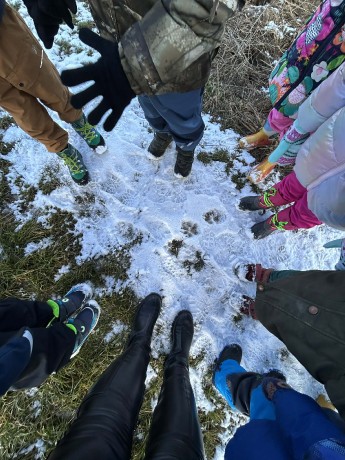 bd59bb93-5938-4c57-9c57-9fbf179ddf2d