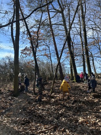 15ed7bdf-df38-4d49-8738-b134f920942f