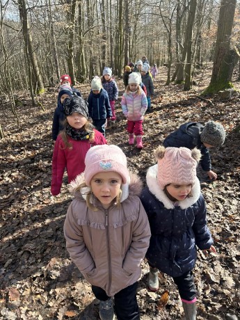 2006260e-6ddd-4dc3-a477-5c59cf3059cc