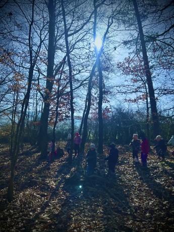 d84e2463-f436-4ab2-87ab-1251dcbdd6e9