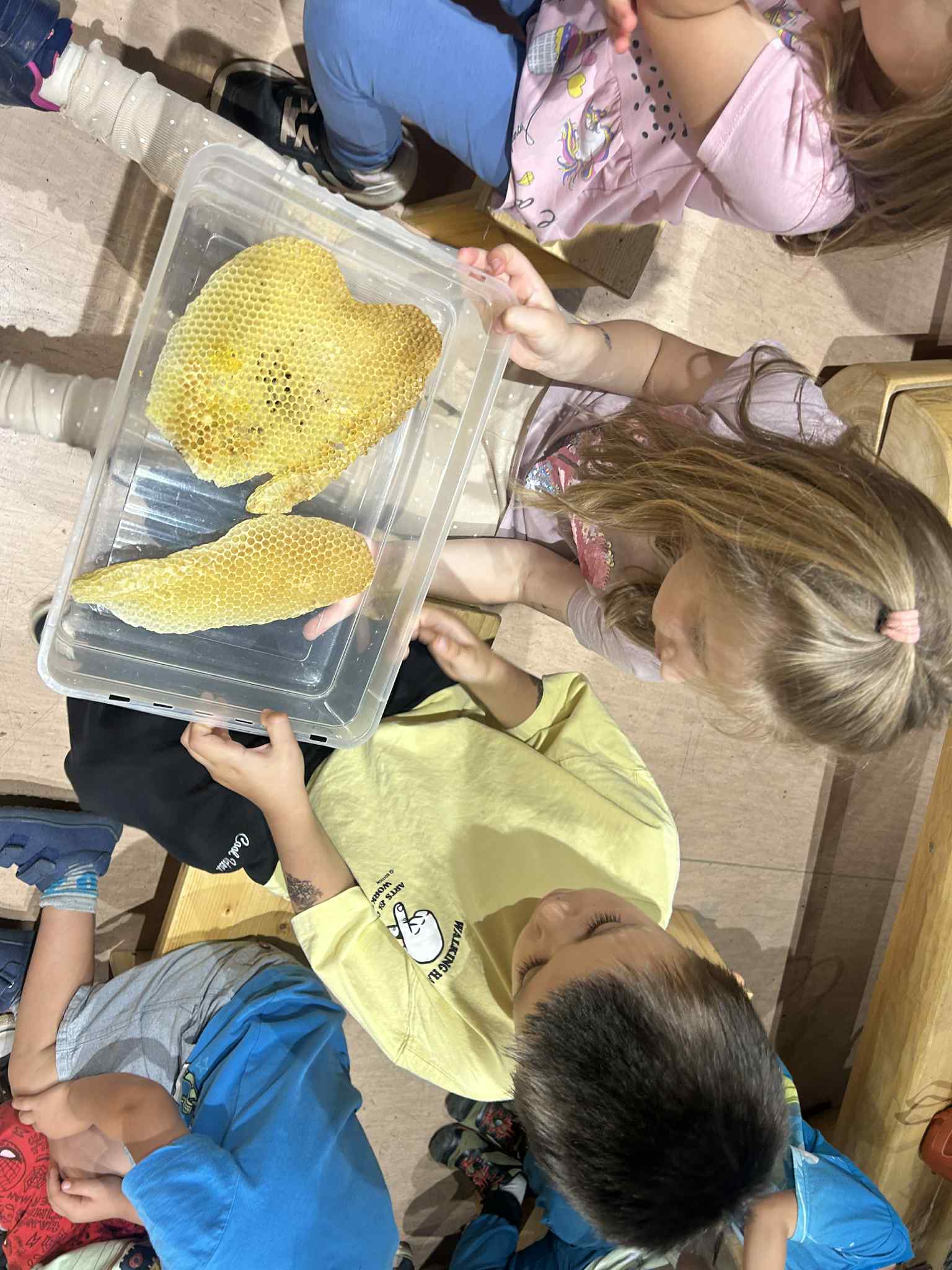 cb082f32-9b84-498e-8186-ead84d946668