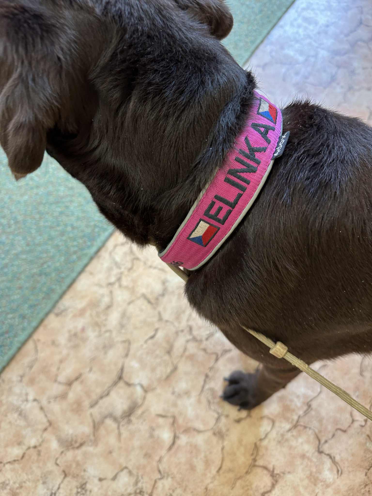 2b436a96-b22e-44f8-b19e-3d0463ef2bce.jfif