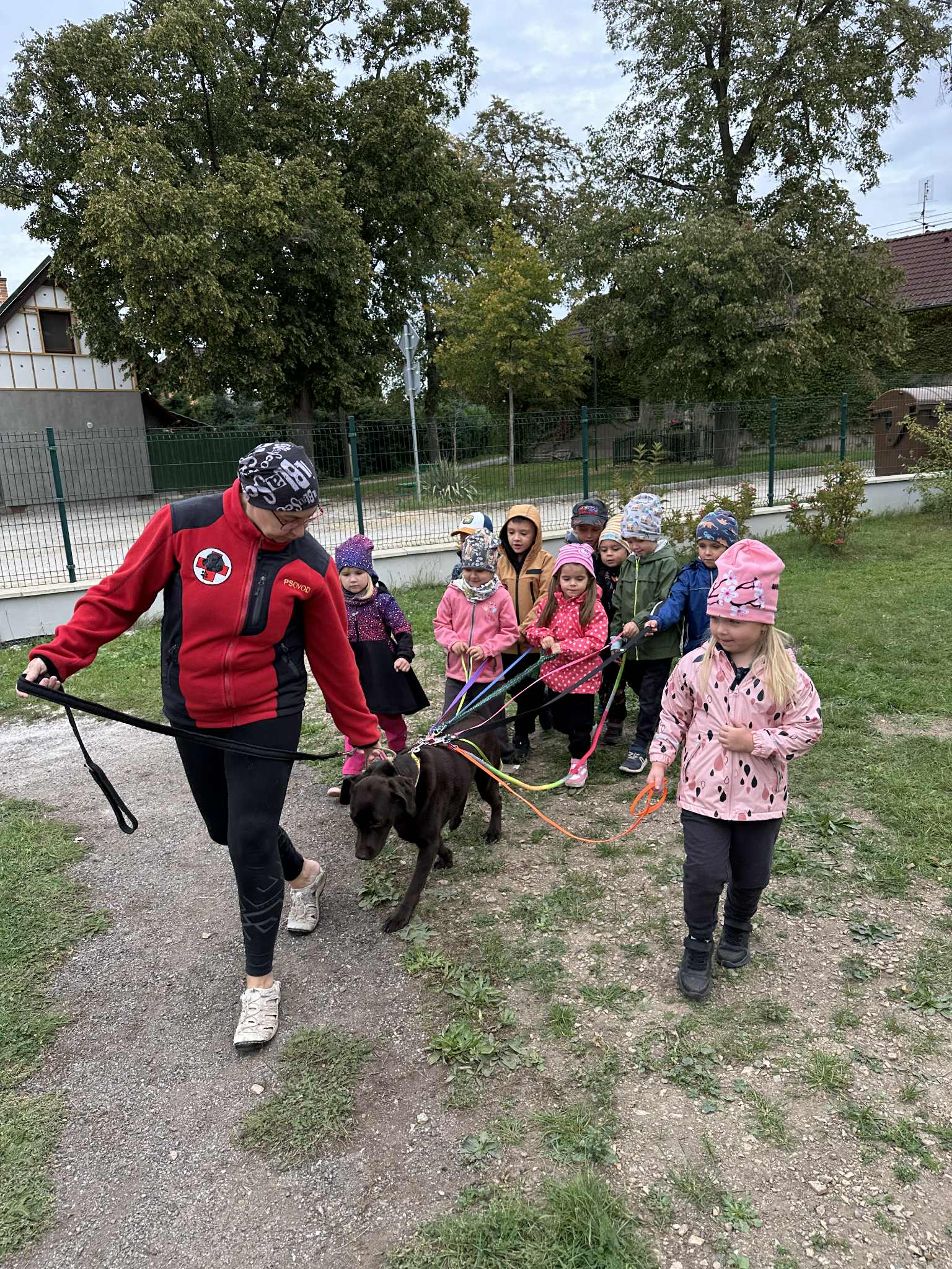 3b18c004-e405-4877-91fb-94e606110b18.jfif