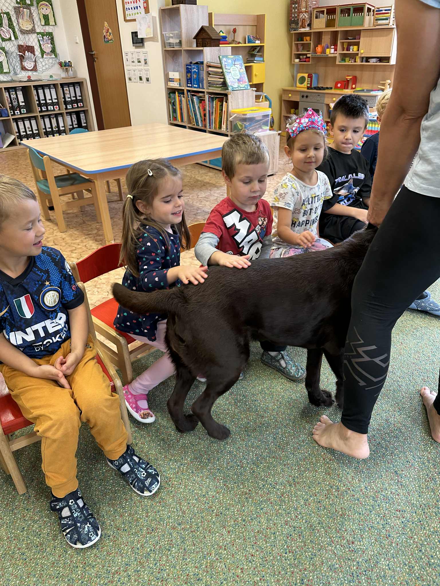 5ed59a88-eace-4dee-9a49-ebbdbd00ee50.jfif