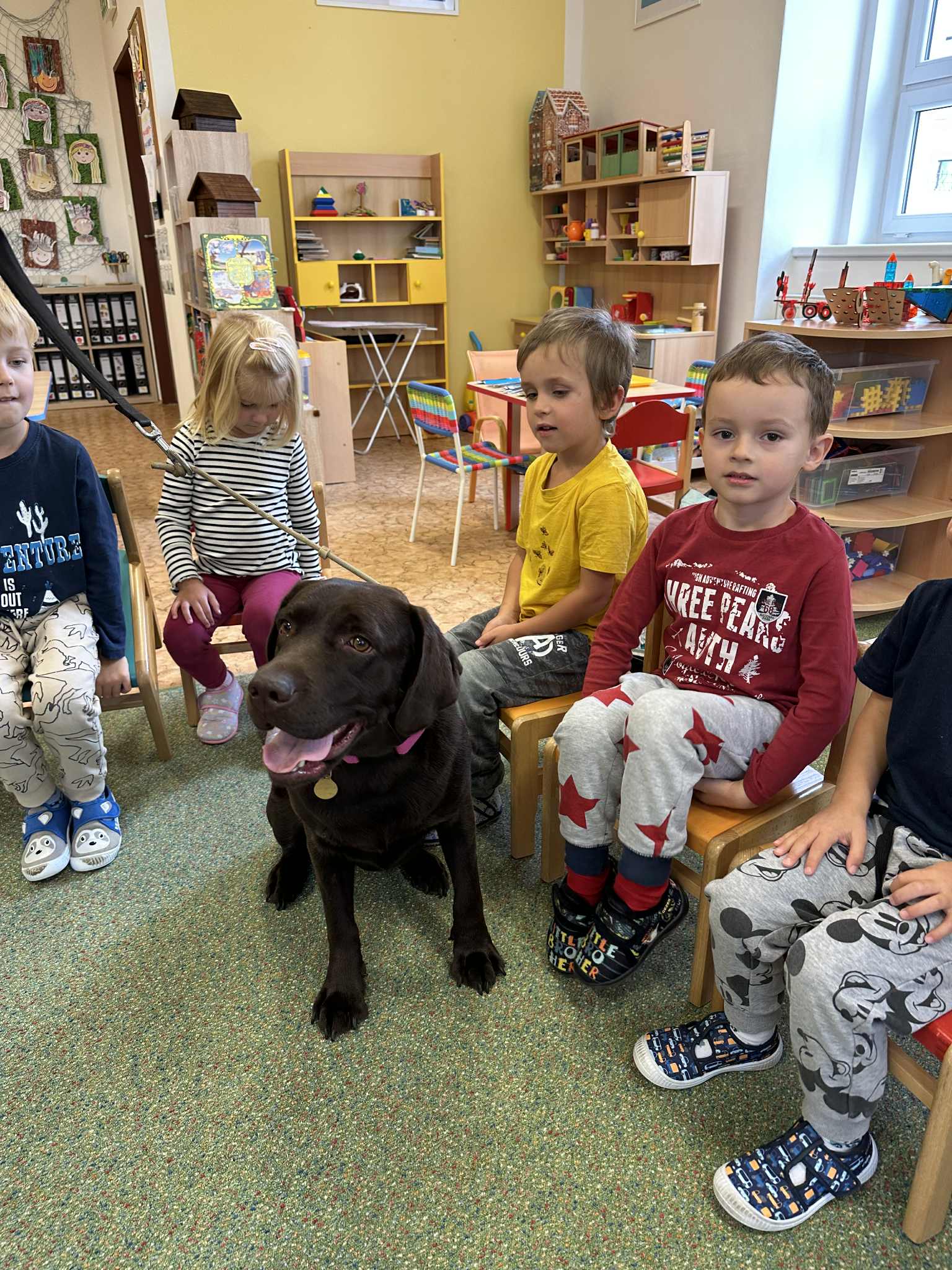 80ff4d65-233c-4efb-ae87-a8aaa0c205d7.jfif