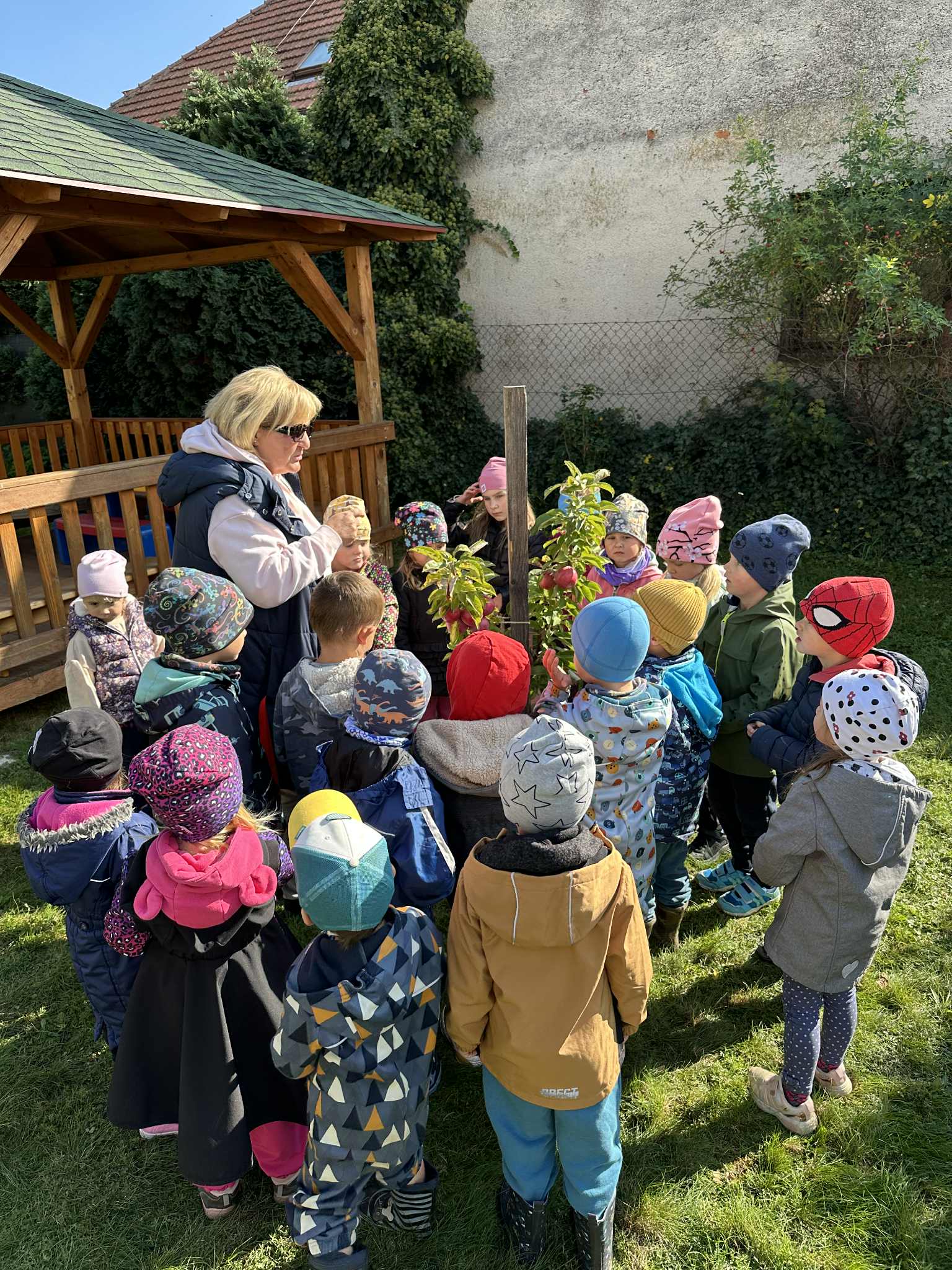 823bd160-99eb-455d-bfb2-559026529d1a.jfif