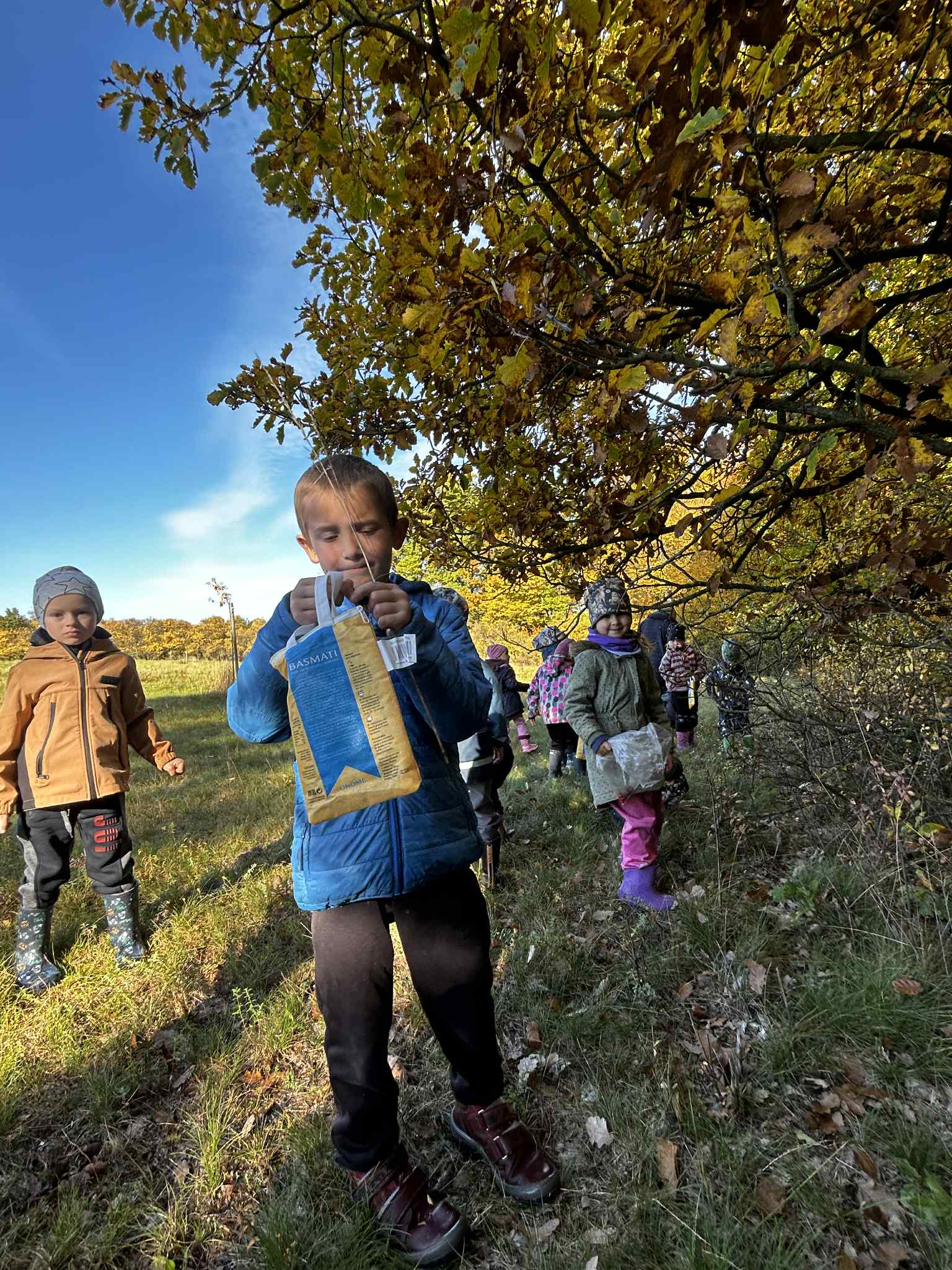 5d2886eb-7cdf-45ff-bb7c-36cfd9a0597d