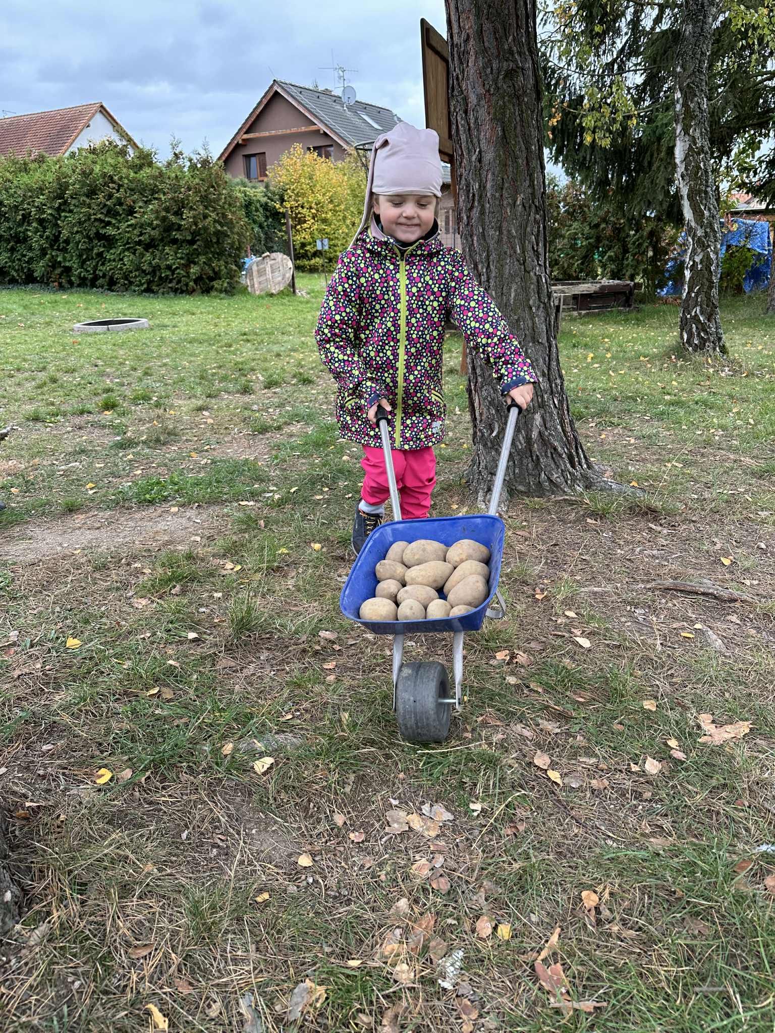 7fef7c50-0aa6-4436-ab36-f52b2f2eaf8f