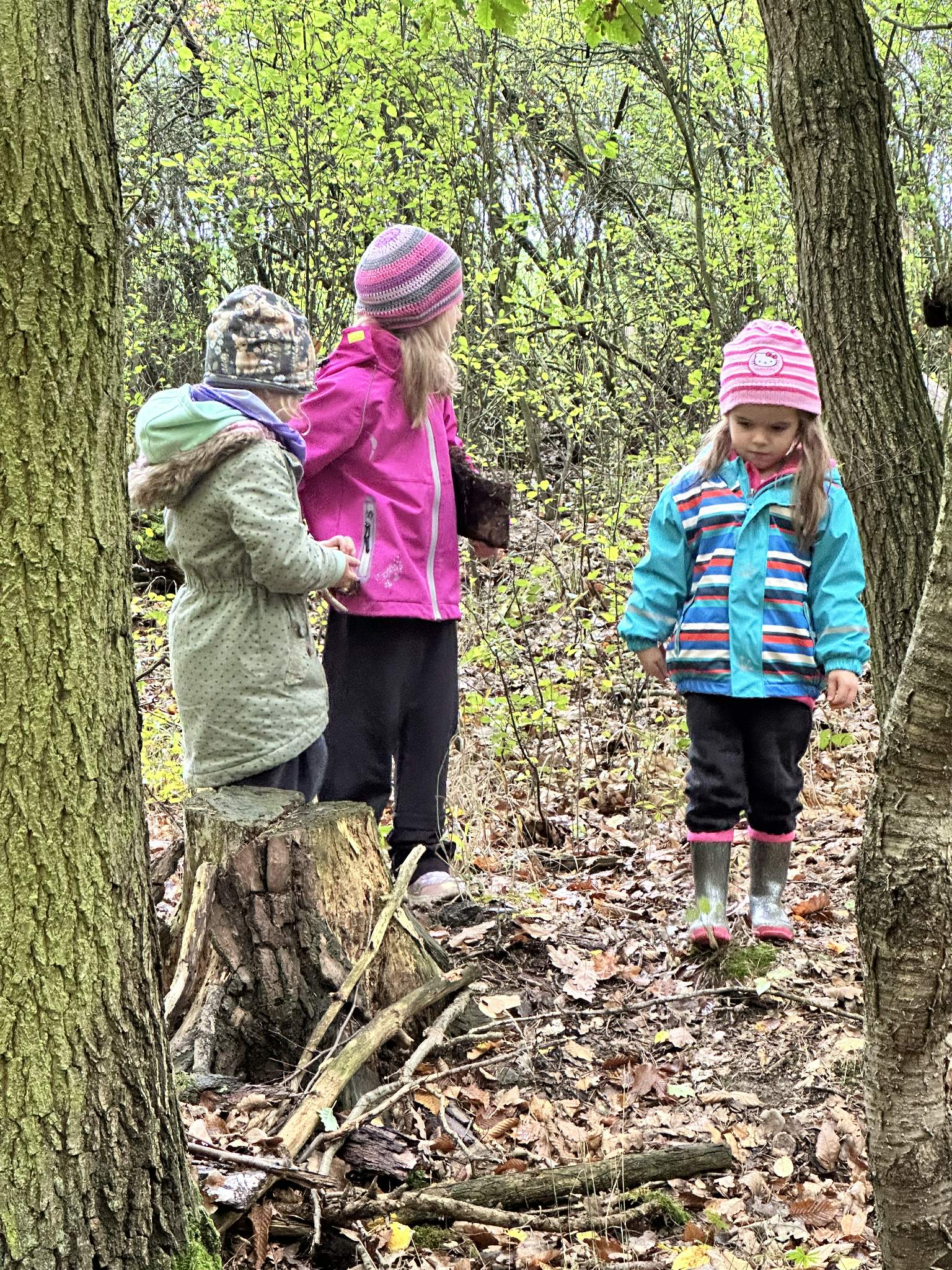 22ea60e5-e5a4-48ba-a2ba-6140da9be212