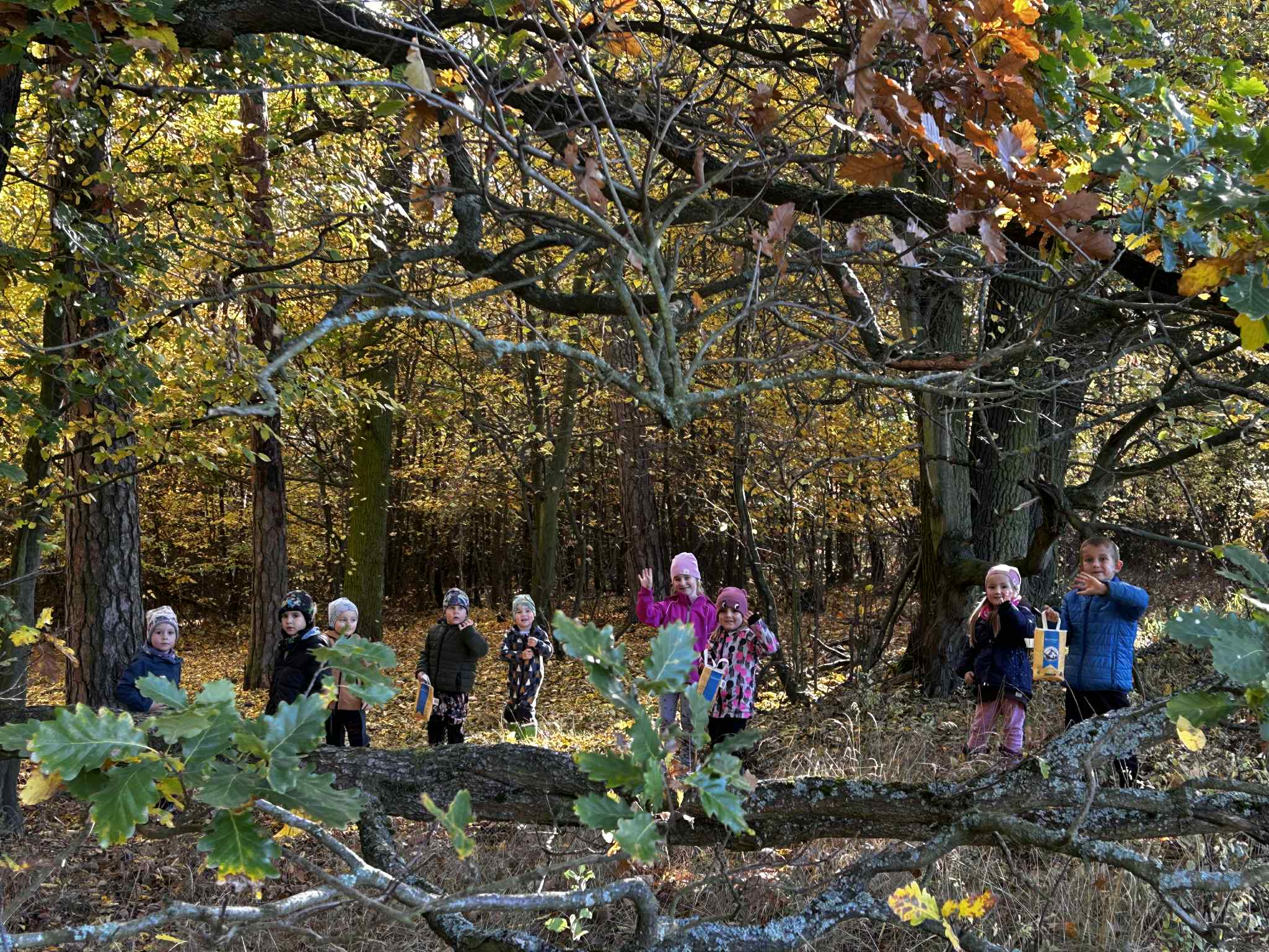 a734c7a1-57ca-4e21-a6cb-3674bfb87344