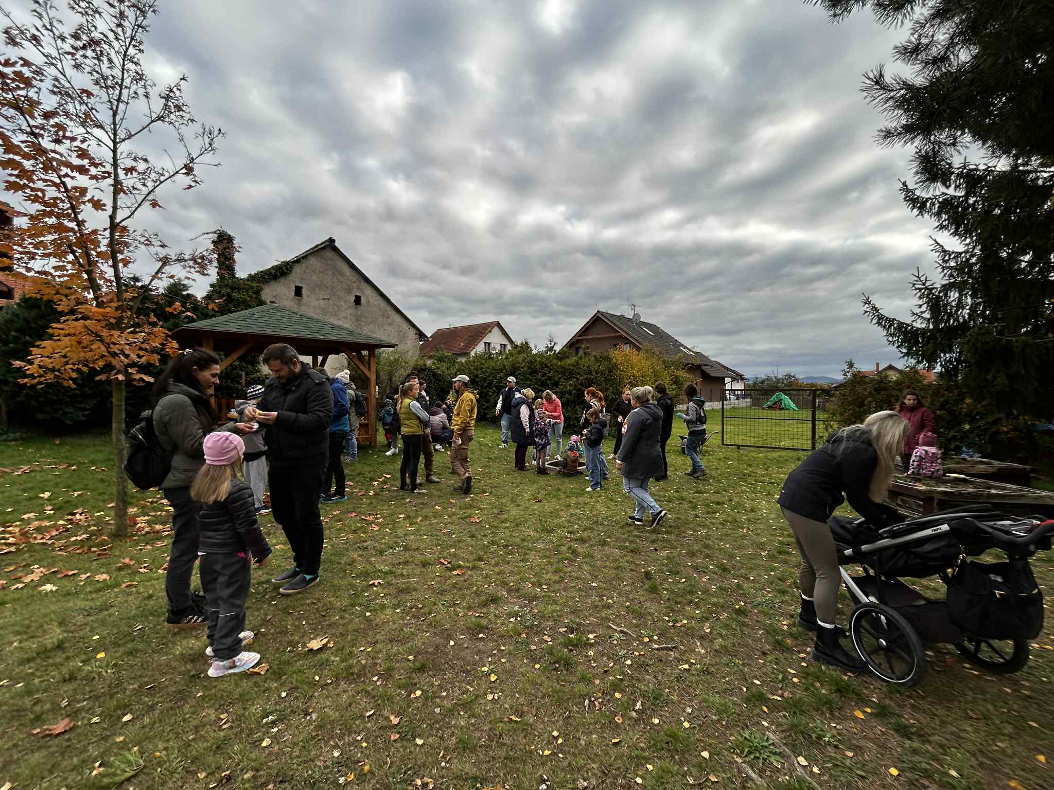 bf11f36a-3253-4d6d-88a4-19ffd2cf960f