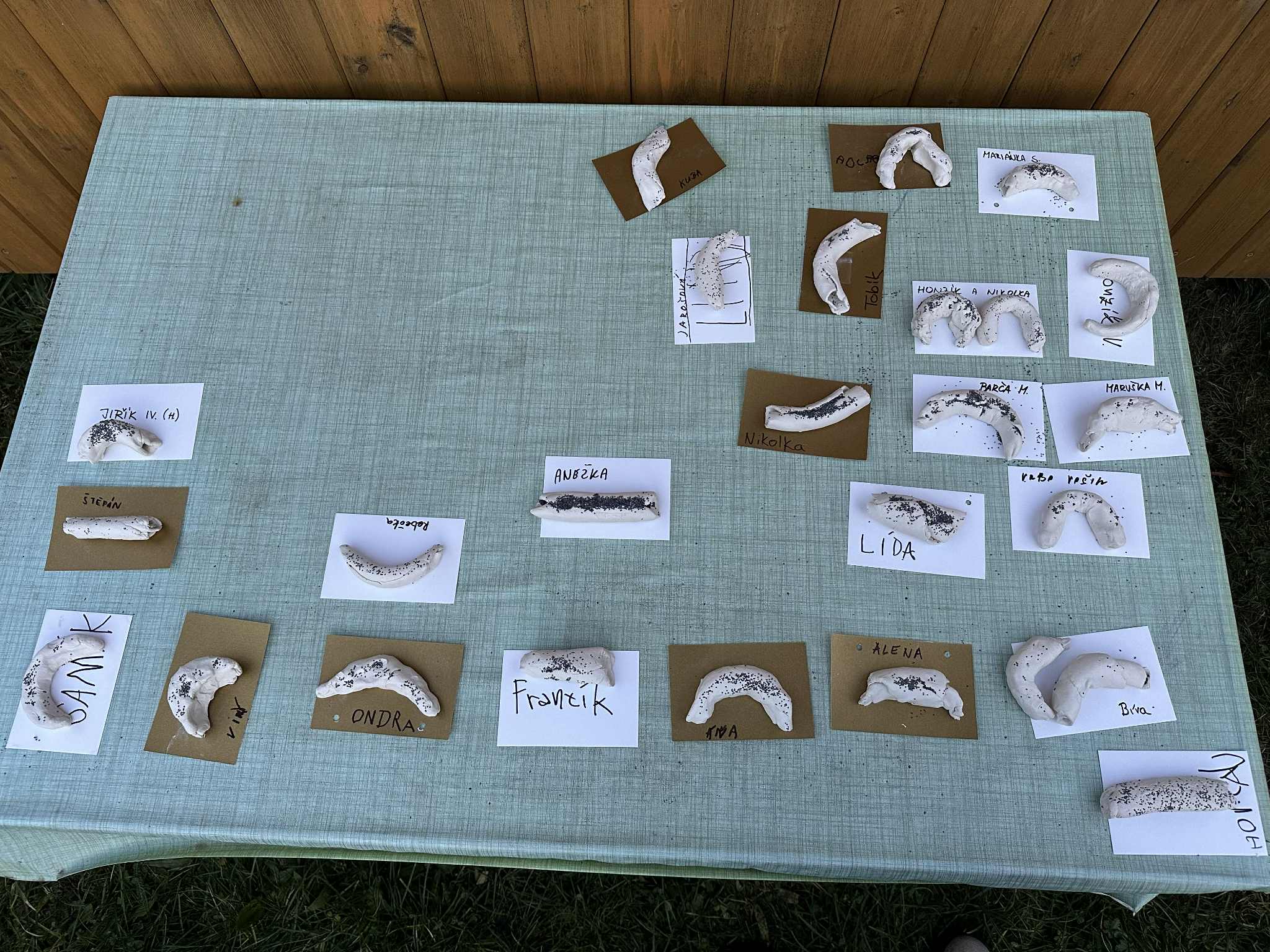 18f8744c-196e-42dc-90f0-1090cae9882c (1)