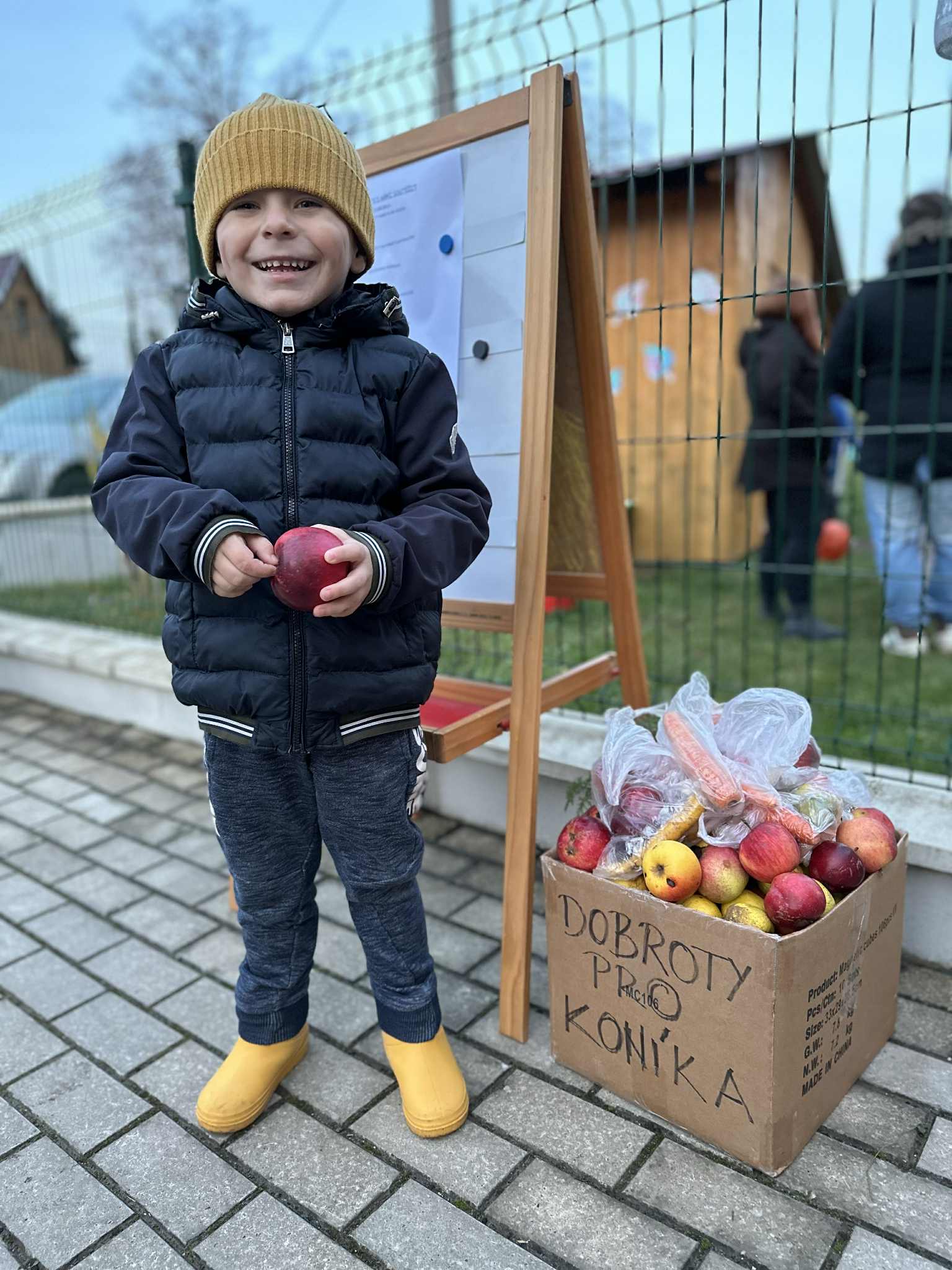 20607161-bd14-447f-a470-947ddb730068