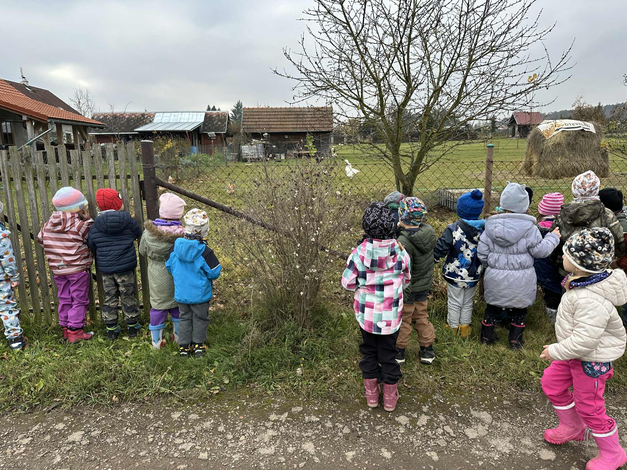 6b8a0b09-3b4e-4949-b3a5-95efe7c73162