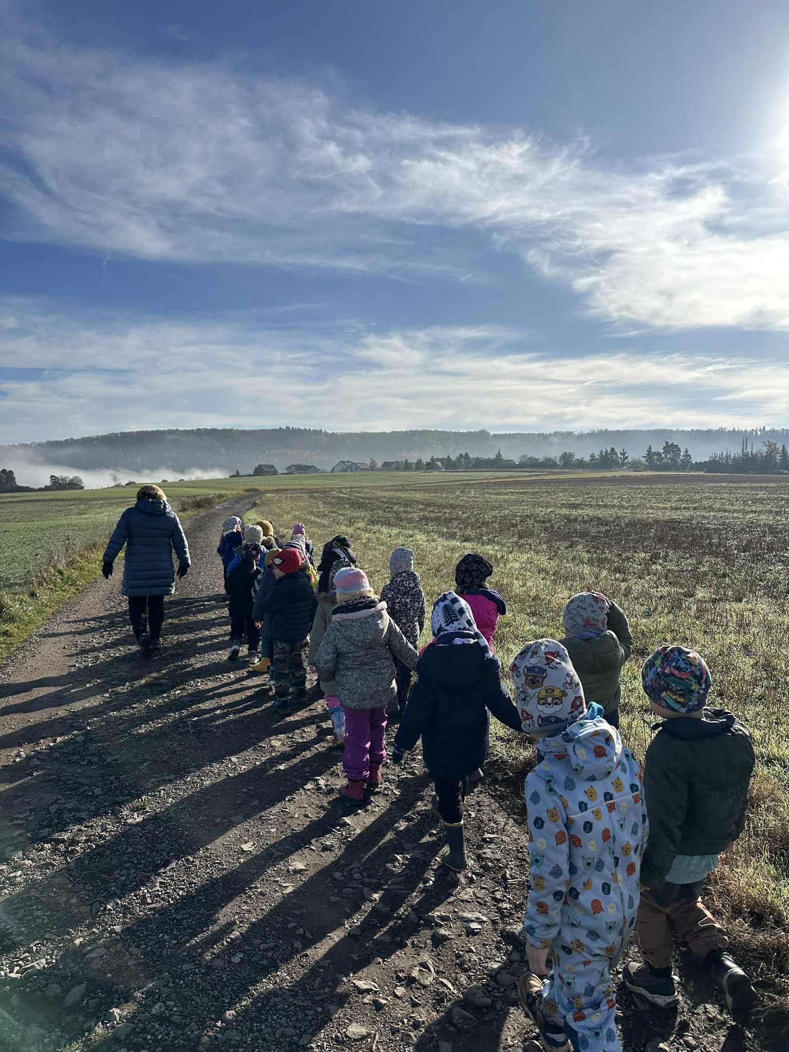 99952032-a152-4886-8b47-ecf7dda57092