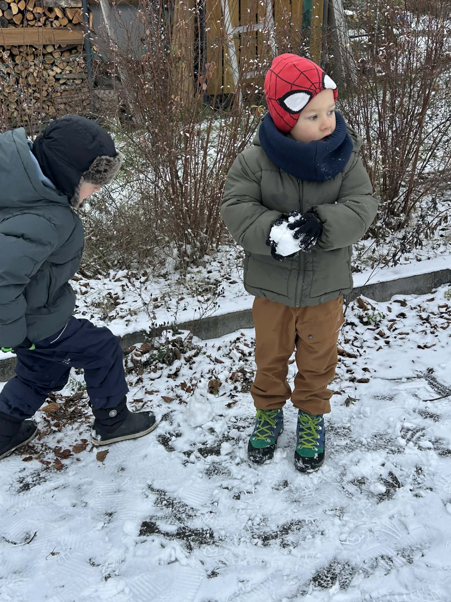 ca3156cd-0762-4d9d-a278-9744b85942a8