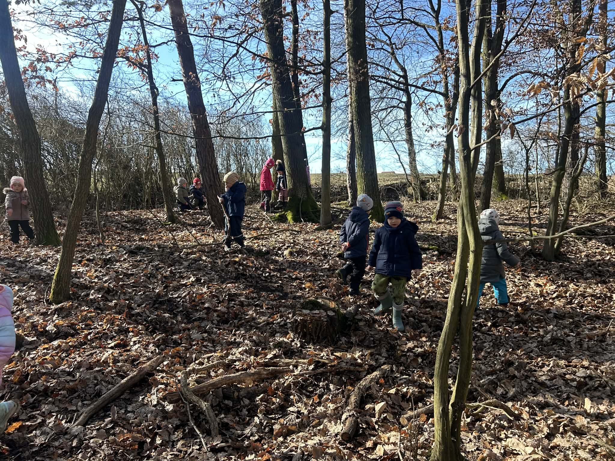 2b4ea206-2b9d-4e36-bd13-b5365bf2d17b