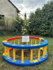 387588564_1673122196518645_1657496748204811665_n.jpg